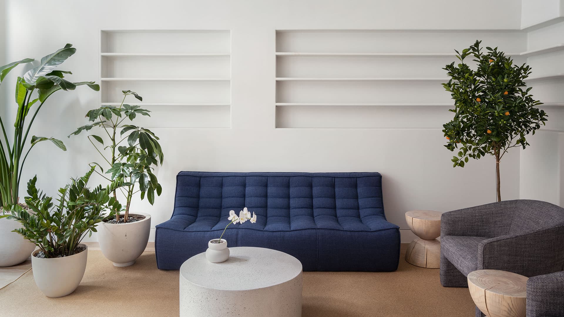 Awake Surgery Center — Tribeca Aesthetics